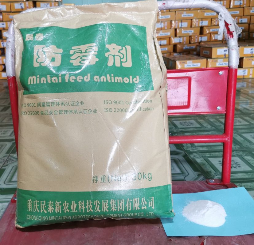chống mốc Mitai