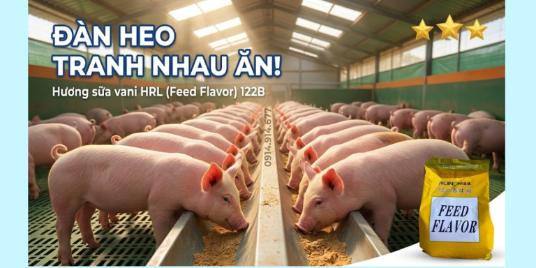 Hương sữa vani HRL (Feed Flavor) 122B