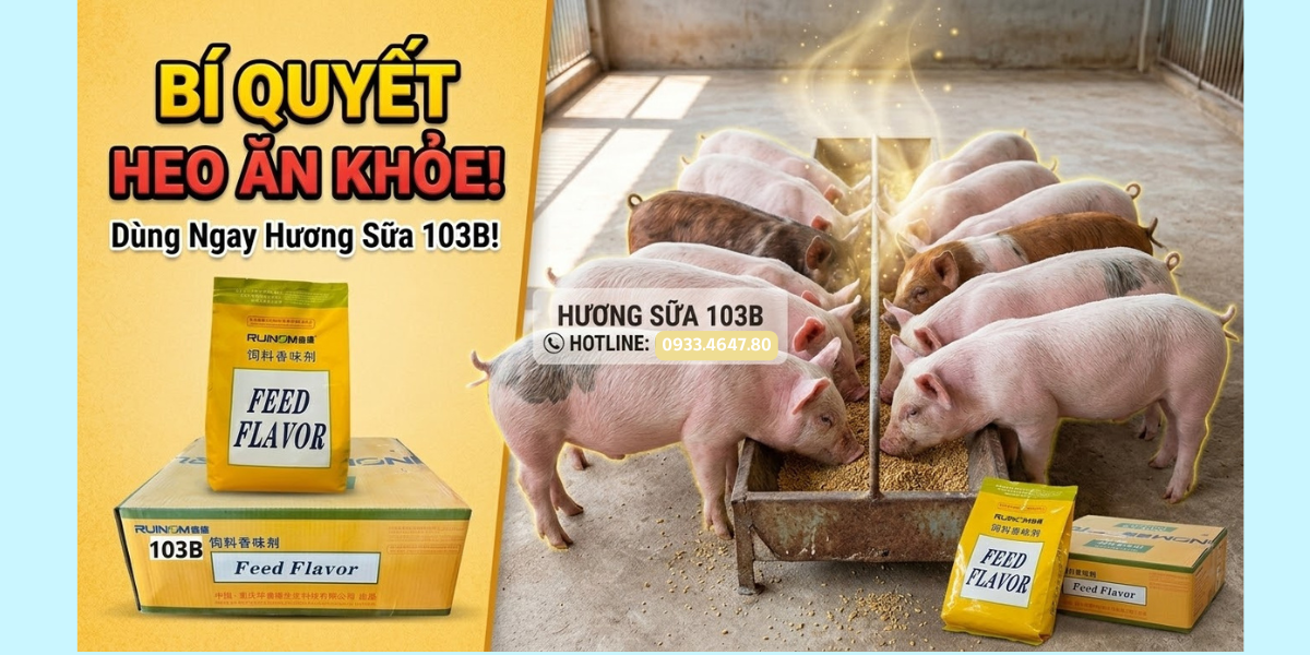 Hương sữa 103B (Feed Flovar 103B)