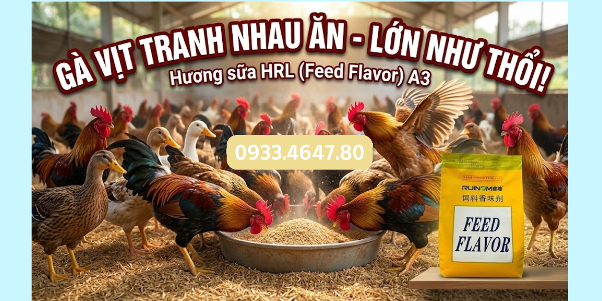 Hương sữa A3 (Feed Flavor A3)