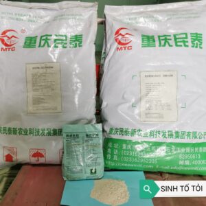 Sinh tố tỏi trong thức ăn chăn nuôi